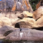 Eagle-cormorant-50