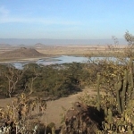 elementaita-view-cactus500