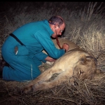 lion check-up