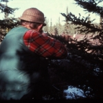 darting a caribou from ambush in the Birch Mountains, Alberta, Canada