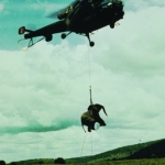 elephant calf lift