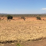 Kamboyo-view-72.1