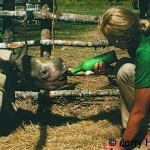 Rhino calf feeding by Iris Hunt 1973