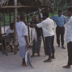 Fish auction Zanzibar