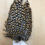Grey-Jungle-cock-cape