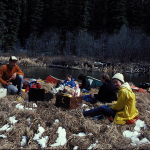 Lunch beside the Mclennan river