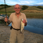 goldeye