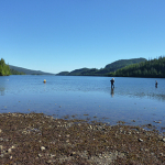 Yakoun river estuary, Haida Gwaii