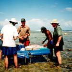 Lunch on the reef off Belize