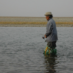 Suren fishing
