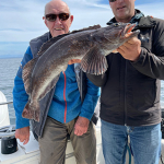 JC Ling cod