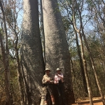 J&J against baobab