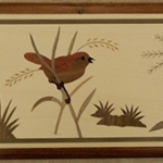 Narcissse 3 birds