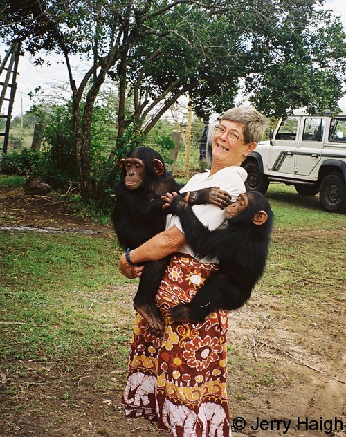 Jo Haigh and two orphan chimps