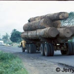 African hardwood on its way to Europe