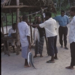 Fish auction