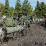 mp with loaded reindeer