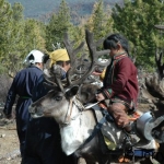 mp with loaded reindeer