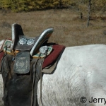 Traditional saddle