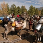 Reindeer camp loading up