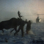 Winter-time pull down, from old Super 8 movie