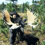 Tony Bubenik and a huge dummy head and antlers used in his behavioural research