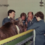 Minnie moose being examined with an endoscope at the Western College of Veterinary Medicine